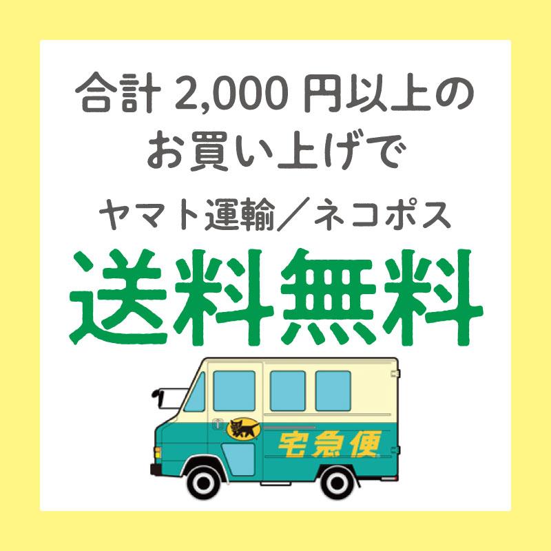 乳酸菌 サプリ サプリメント ラクトフェリン 女性 菌活 腸活 大容量 約6ヶ月分 EC12 乳酸菌 ビール酵母 ホエイプロテイン ダイエット ネコポス｜nhl｜03