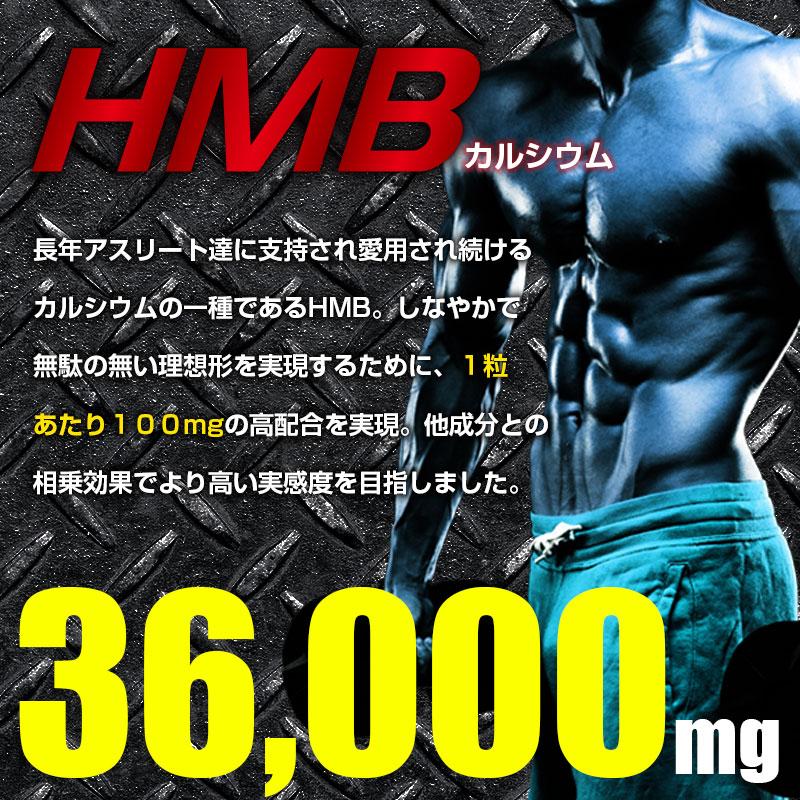 HMB BCAA サプリ ダイエット アミノ酸 アルギニン L-カルニチン αリポ酸 大容量 約6ヶ月分 筋力 筋肉 筋トレ トレーニング 運動 ネコポス｜nhl｜03