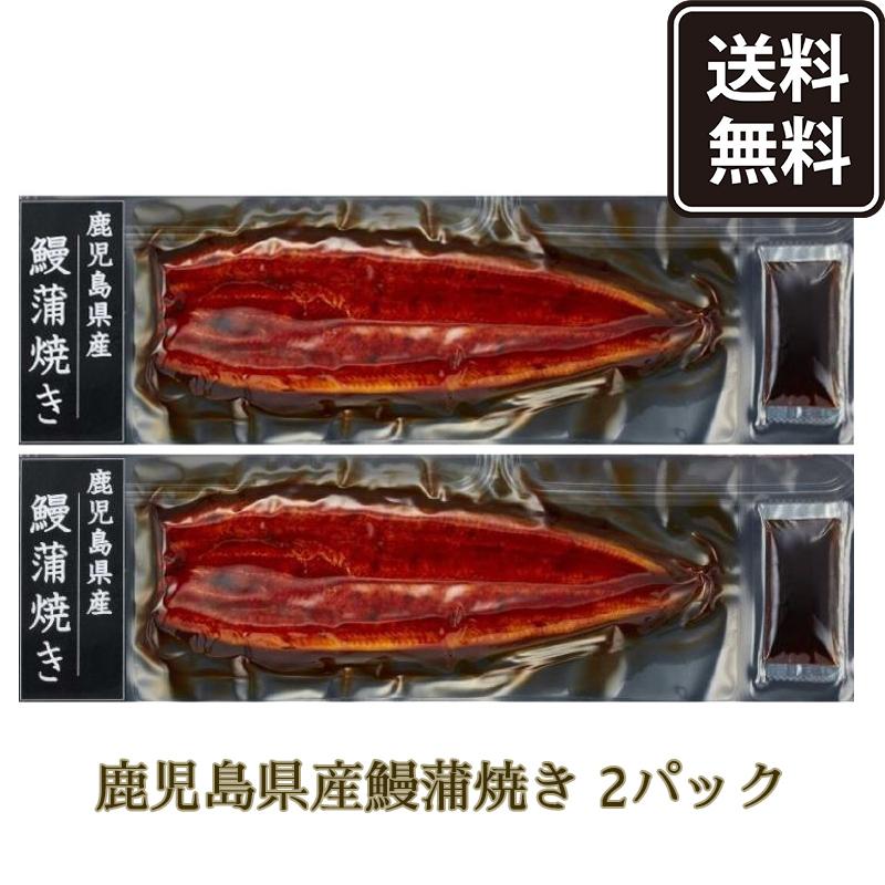 鹿児島県産鰻備長炭焼120g✕10尾、冷凍うなぎ蒲焼、有頭タレ付き。丁寧