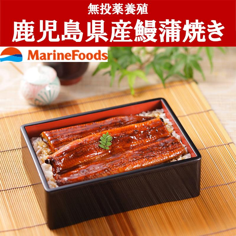 鹿児島県産鰻備長炭焼120g✕10尾、冷凍うなぎ蒲焼、有頭タレ付き。丁寧に手焼きされています！ 鹿児島県産鰻備長炭焼120g✕10尾、冷凍うなぎ蒲焼、有頭タレ付き。丁寧
