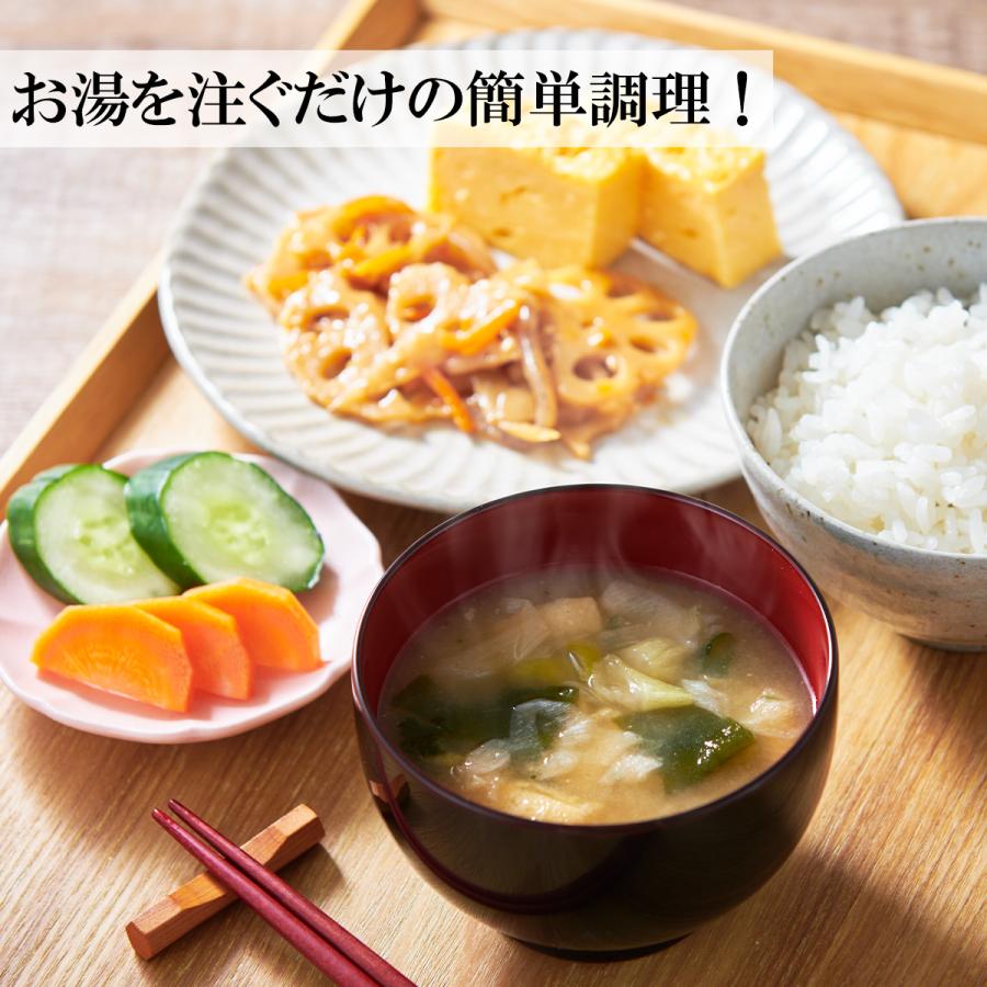宝幸 フリーズドライ 野菜のおみそ汁 計40食セット 常温 お味噌汁 大