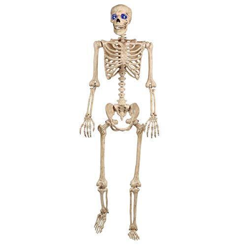 新品 ハロウィン スケルトン スカル がいこつ人形 身長152cm Ledライトで目が光る ドクロ ガイコツ スケルトン 値引きする Www Esiba Tg