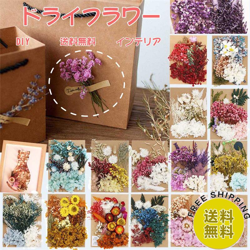 450円 87 Off ドライフラワー ブーケ 押し花花材セット花 葉 手作り Diy インテリア 花束 スイーツセット 壁掛け ハーバリウム フォトフレーム ナチュラル アロマキャンドル
