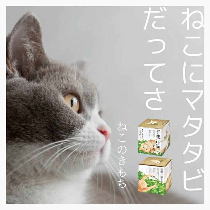 栽培キット 西洋マタタビ キャットニップ 猫草 ペット 愛猫 子供 家庭