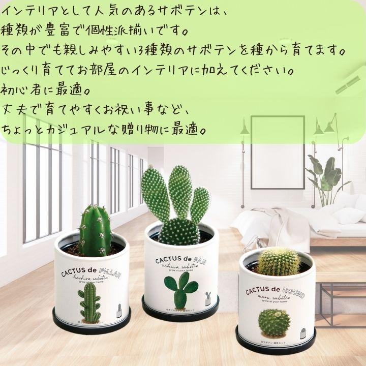 シール付 栽培キット 家庭菜園 おうち菜園 丸サボテン 柱サボテン