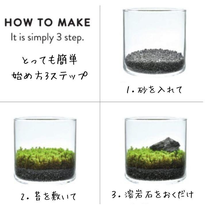 苔 テラリウム 苔テラリウム キット 園芸 栽培キット スナゴケ こけ