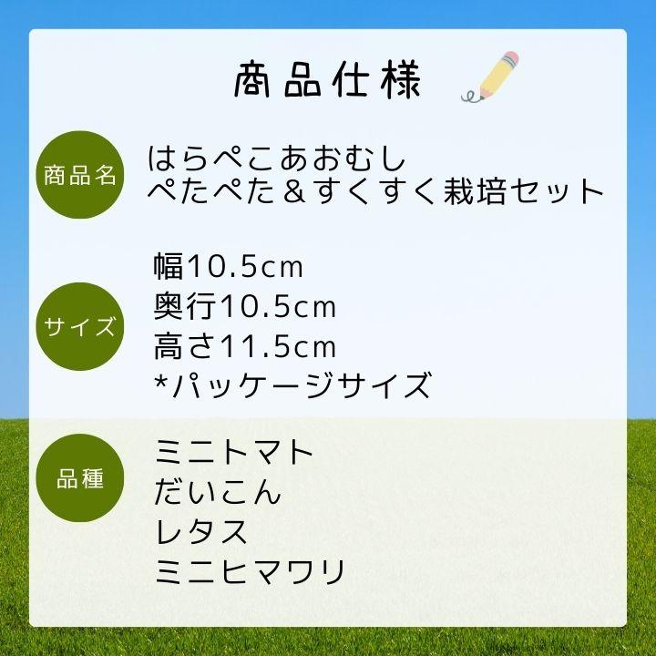 栽培キット はらぺこあおむしペタペタ＆すくすく トマト 室内 野菜 だいこん レタス ヒマワリ 子供 家庭菜園 自由研究 観察 初心者向け 栽培セット｜niccs｜09