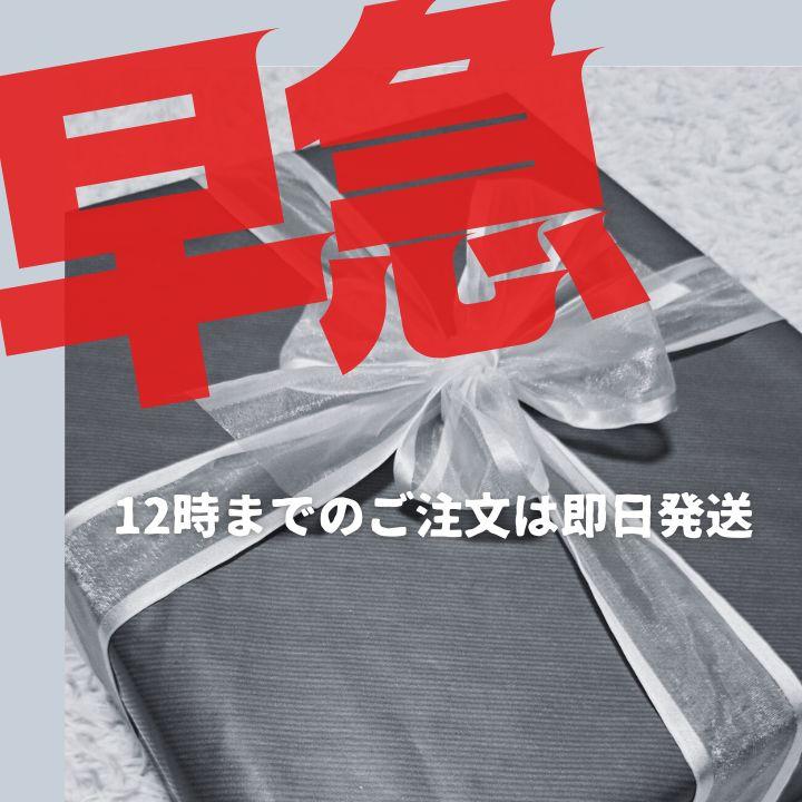 ギフト対応可 ラッピング無料】ギフト モンテッソーリ 棚 絵本ラック