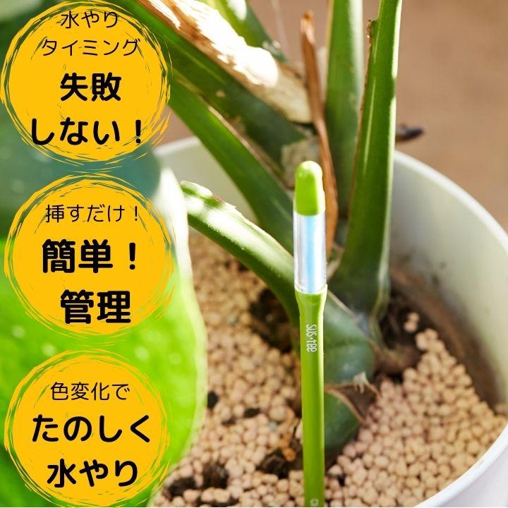 サスティー シングルパック sustee グリーン 水やりチェッカー 植物の