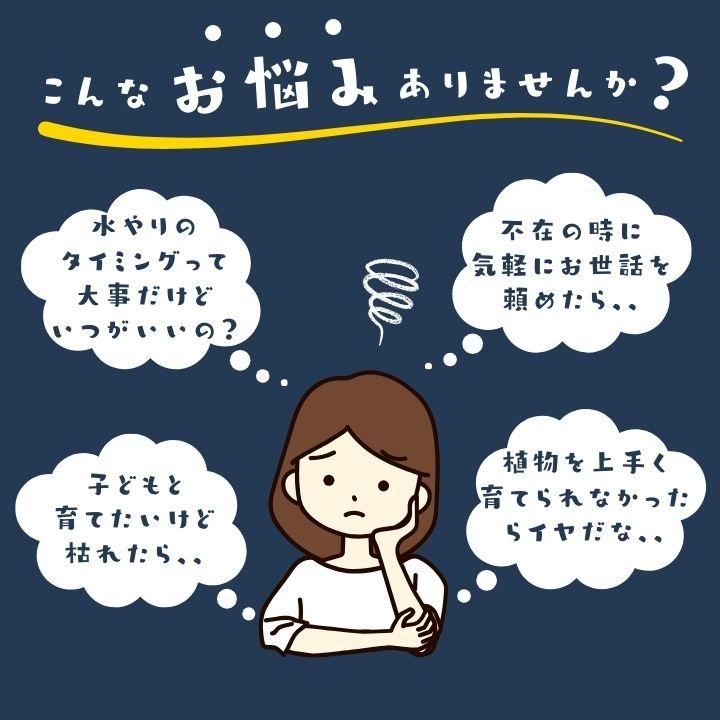 サスティー シングルパック sustee グリーン 水やりチェッカー 植物の水分計 栽培キット 観葉植物 盆栽 植物 水やり 水 土 鉢 おしゃれ チェッカー |  | 02