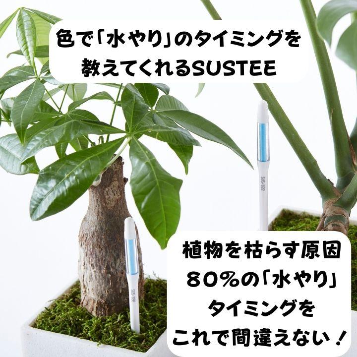 サスティー シングルパック sustee グリーン 水やりチェッカー 植物の水分計 栽培キット 観葉植物 盆栽 植物 水やり 水 土 鉢 おしゃれ チェッカー |  | 03