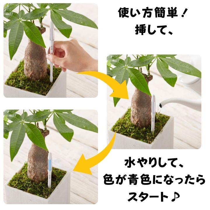 サスティー シングルパック sustee グリーン 水やりチェッカー 植物の水分計 栽培キット 観葉植物 盆栽 植物 水やり 水 土 鉢 おしゃれ チェッカー |  | 04