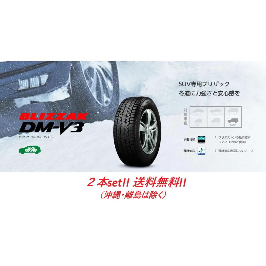 ブリザック DMーV3 255/50R20 109Q XL ブリヂストン BLIZZAK DM-V3 SUV 