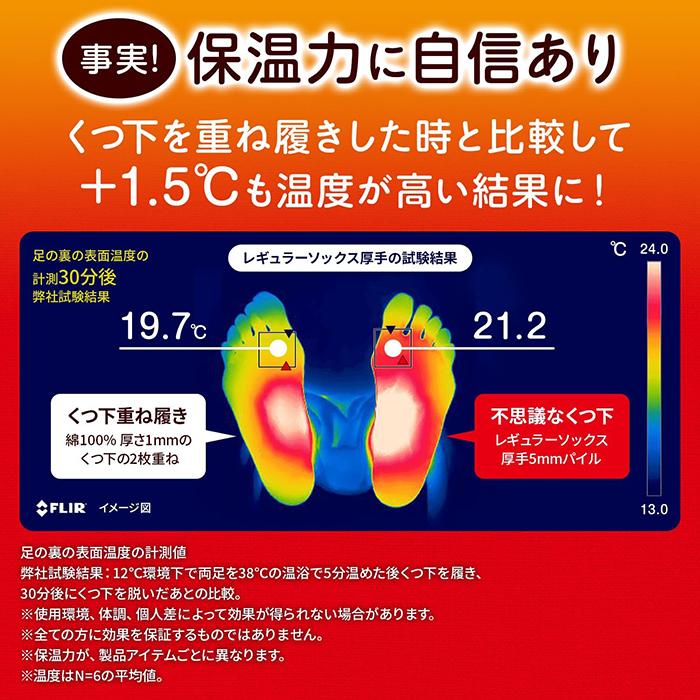 久光製薬 桐灰 足の冷えない不思議なくつ下 レギュラーソックス 厚手