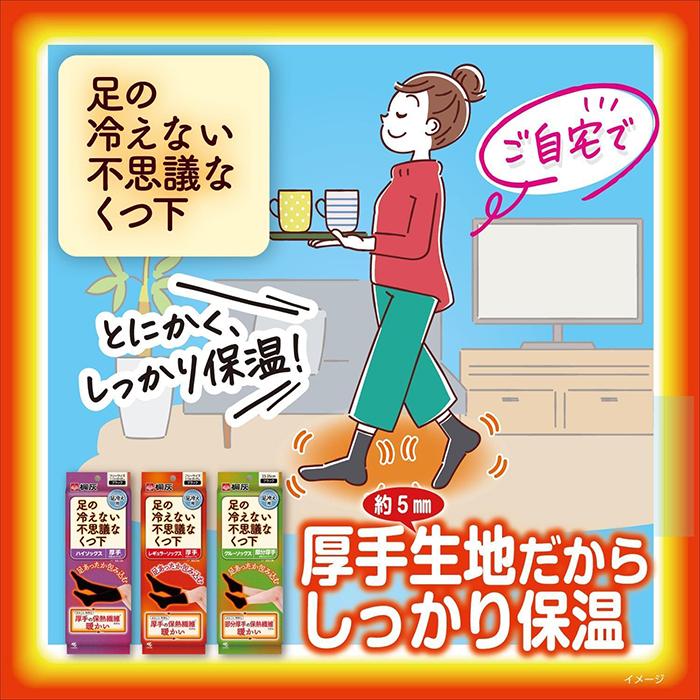 久光製薬 桐灰 足の冷えない不思議なくつ下 レギュラーソックス 厚手