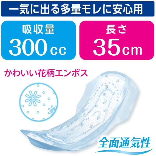 無地の箱で発送 300cc ポイズ 肌ケアパッド 超吸収ワイド 女性用 12枚入|nicedrug|02