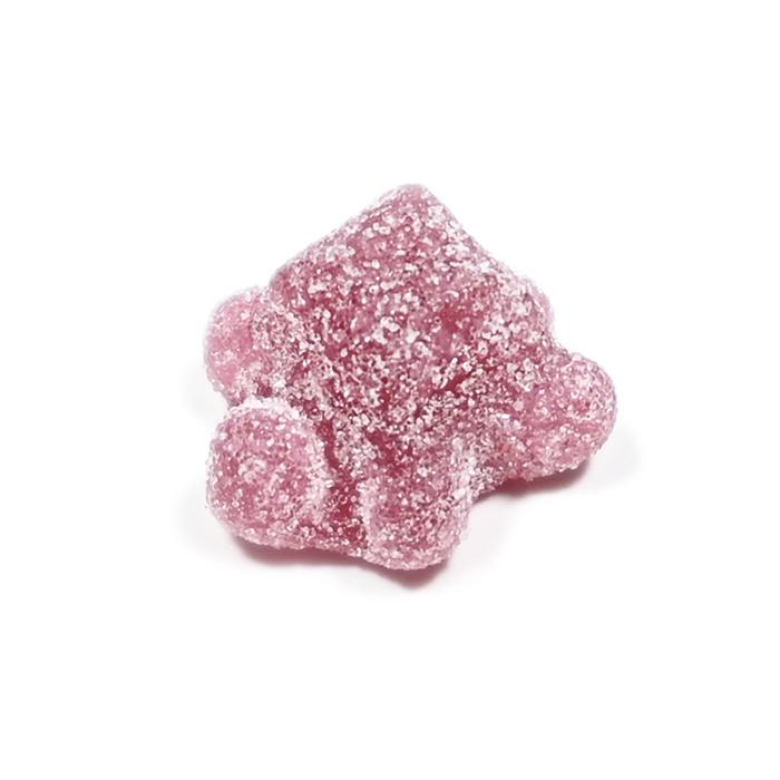 NOBEL カチカチちびカメカメサワーズグミ フルーツアソート 70g