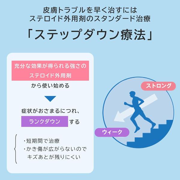 フルコートｆ 軟膏 10g 外用ステロイド 田辺三菱製薬 第(2)類医薬品｜nicedrug｜03