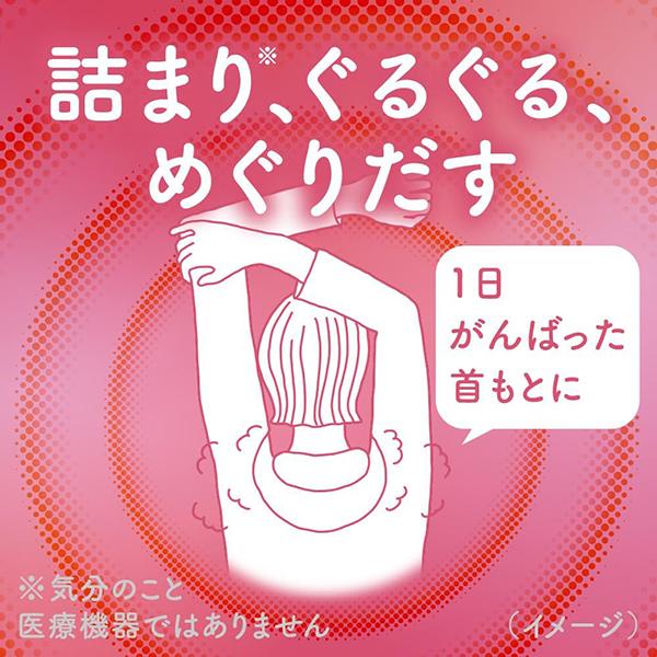 めぐりズム 蒸気めぐる首もとシート グッドナイト 無香料 5枚入 花王