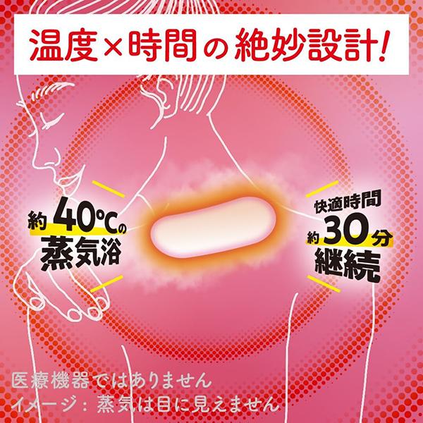 めぐりズム 蒸気めぐる首もとシート グッドナイト 無香料 5枚入 花王