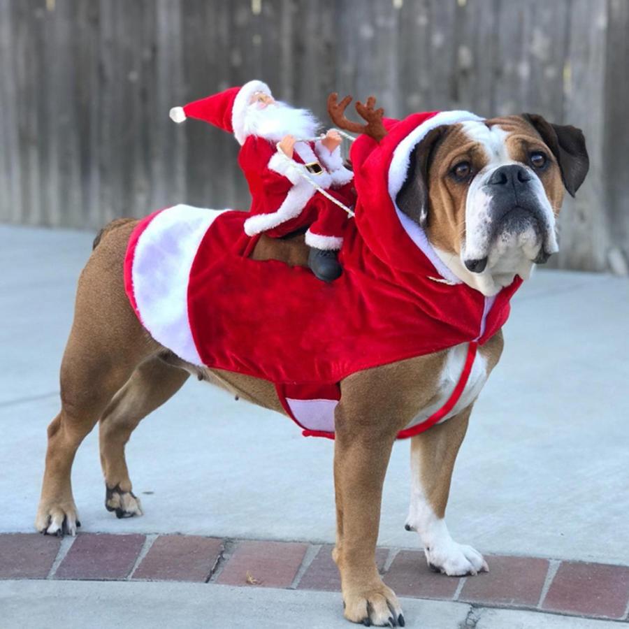 犬の服 サンタクロース 衣装 クリスマス ペット 背中 乗馬 サンタ ペット コスプレ ドッグウェア｜nicegrowingshop
