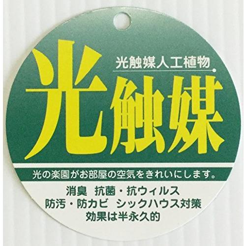 通販激安 財布 帽子 ファッション小物 W 造花 仏花 シキミ束 大 1本入 線香付 全長約52cm 光触媒 抗菌 消臭 お手入れ不要 手間いらず 枯れない しきみ 樒 おしきみ しきび Ism Com Ge