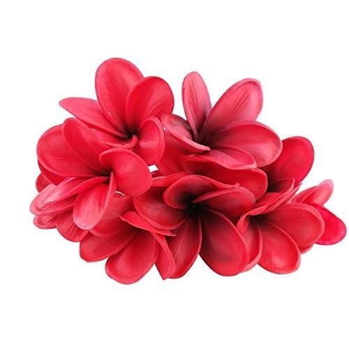 21春大特価セール 超リアル 枝付き プルメリア フランジパニ 造花 直径8cm 11色展開 十個セット アジアン雑貨 飾り物 ヘアアクセサリー インテリア 手細工の材料 Discoversvg Com