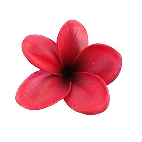 21春大特価セール 超リアル 枝付き プルメリア フランジパニ 造花 直径8cm 11色展開 十個セット アジアン雑貨 飾り物 ヘアアクセサリー インテリア 手細工の材料 Discoversvg Com