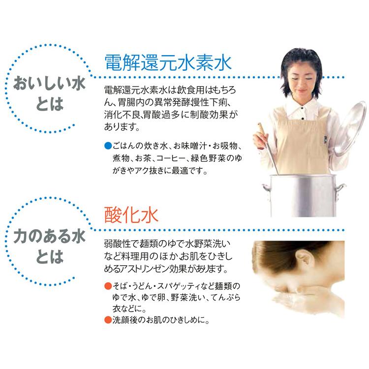 還元水素水生成器 アルテック 浄水器 電解水素水 水の都AL-440 : 激震