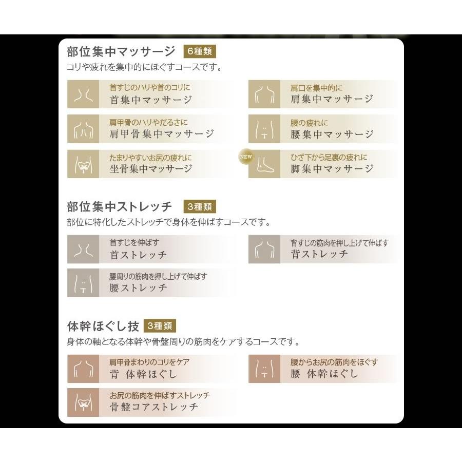 フジ医療器 FUJIIRYOKI マッサージチェア RelaxSolution SKS フジ医療器 FUJIIRYOKI マッサージチェア RelaxSolution SKS