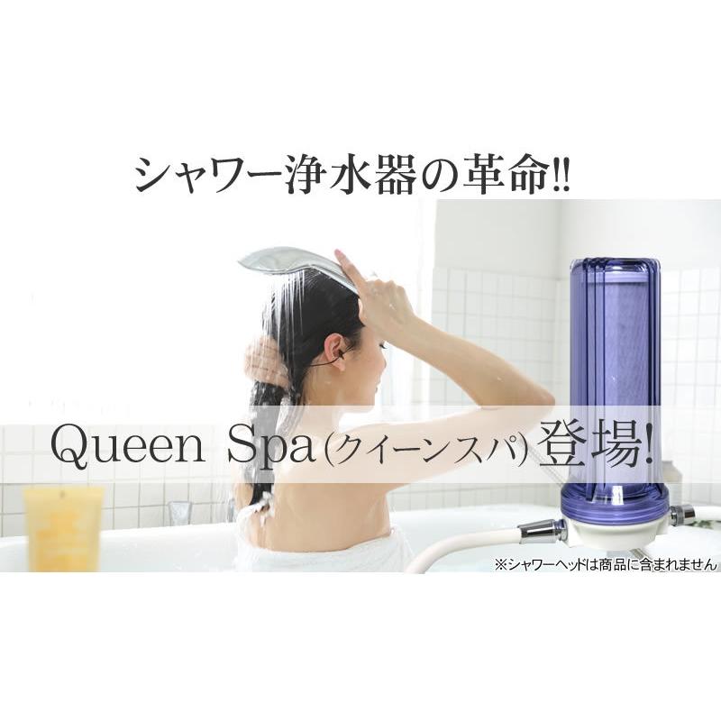 【藤様】専用 交換フィルター お風呂用浄水器 Queen Spa（クイーンスパ） シャワー用