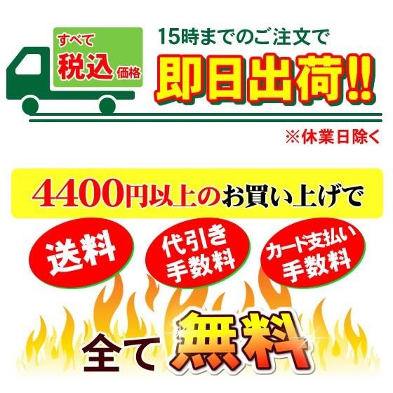 2本セット」 フジ医療器 浄水器カートリッジ FW-8000T :fw8000t-2set