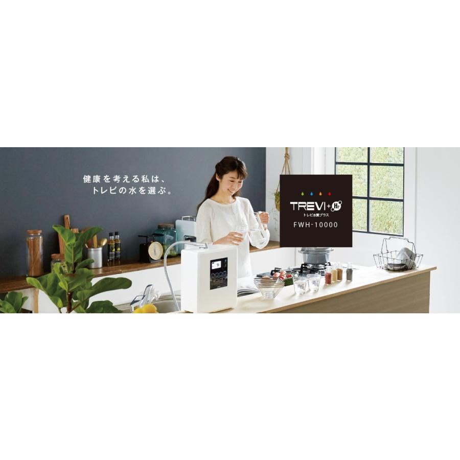 トレビFWH-10000 フジ医療器 トレビ水素プラス アルカリイオン整 トレビFWH-10000 フジ医療器 トレビ水素プラス アルカリイオン整