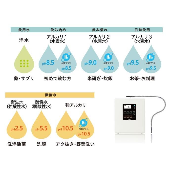 トレビFWH-10000 フジ医療器 トレビ水素プラス アルカリイオン整 トレビFWH-10000 フジ医療器 トレビ水素プラス アルカリイオン整