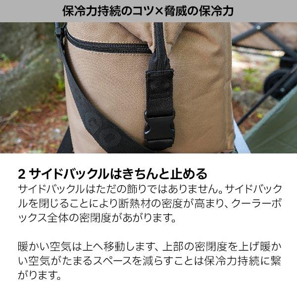 AOクーラーズ 12パック カーボン ソフトクーラー AOCR12  キャンプ 小型 11L ソフトクーラー クーラーボックス 保冷バッグ | AO Coolers | 12