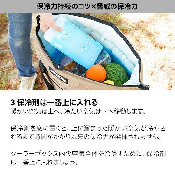 AOクーラーズ 12パック カーボン ソフトクーラー AOCR12  キャンプ 小型 11L ソフトクーラー クーラーボックス 保冷バッグ | AO Coolers | 13