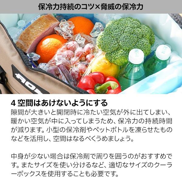 AOクーラーズ 12パック カーボン ソフトクーラー AOCR12  キャンプ 小型 11L ソフトクーラー クーラーボックス 保冷バッグ | AO Coolers | 14
