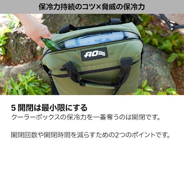 AOクーラーズ 12パック カーボン ソフトクーラー AOCR12  キャンプ 小型 11L ソフトクーラー クーラーボックス 保冷バッグ | AO Coolers | 15