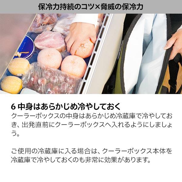 AOクーラーズ 12パック カーボン ソフトクーラー AOCR12  キャンプ 小型 11L ソフトクーラー クーラーボックス 保冷バッグ | AO Coolers | 16