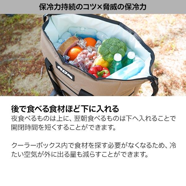 AOクーラーズ 12パック カーボン ソフトクーラー AOCR12  キャンプ 小型 11L ソフトクーラー クーラーボックス 保冷バッグ | AO Coolers | 17