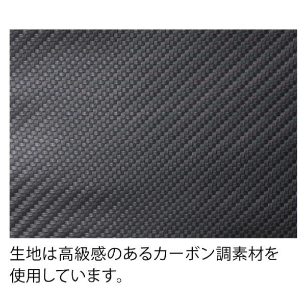 AOクーラーズ 12パック カーボン ソフトクーラー AOCR12  キャンプ 小型 11L ソフトクーラー クーラーボックス 保冷バッグ | AO Coolers | 07