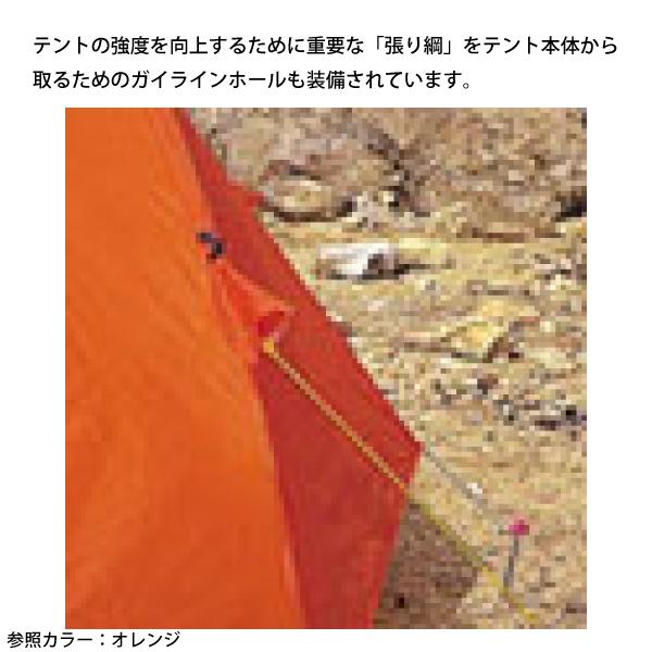 ARAI TENT（アライテント） エアライズ 4 フォレストグリーン 0300401