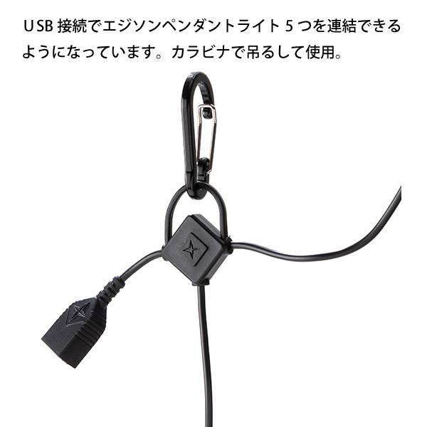 BAREBONES（ベアボーンズ） 訳あり エジソンペンダントライトLED