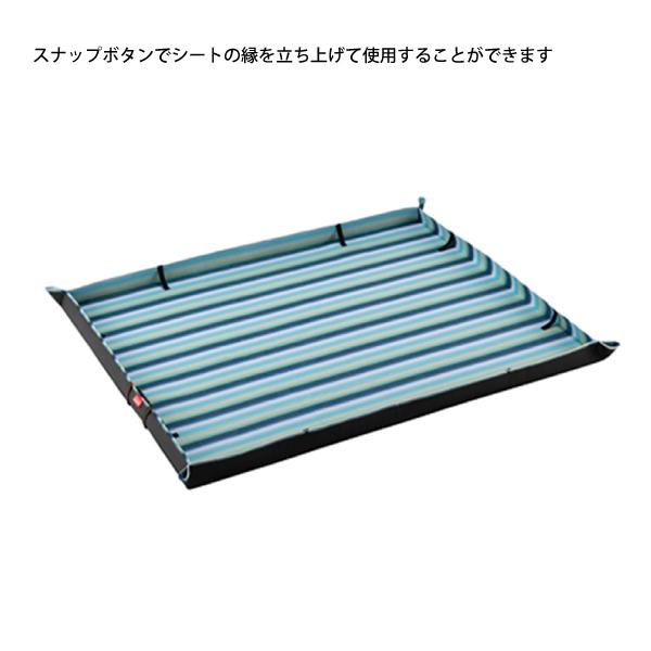 Coleman（コールマン） レジャーシートデラックス テント 2189437