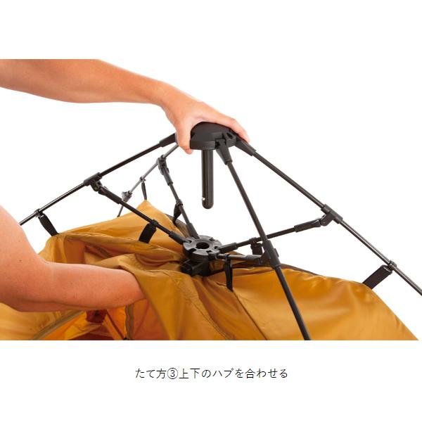 Coleman（コールマン） インスタントアップドーム S 2000039089 ドーム