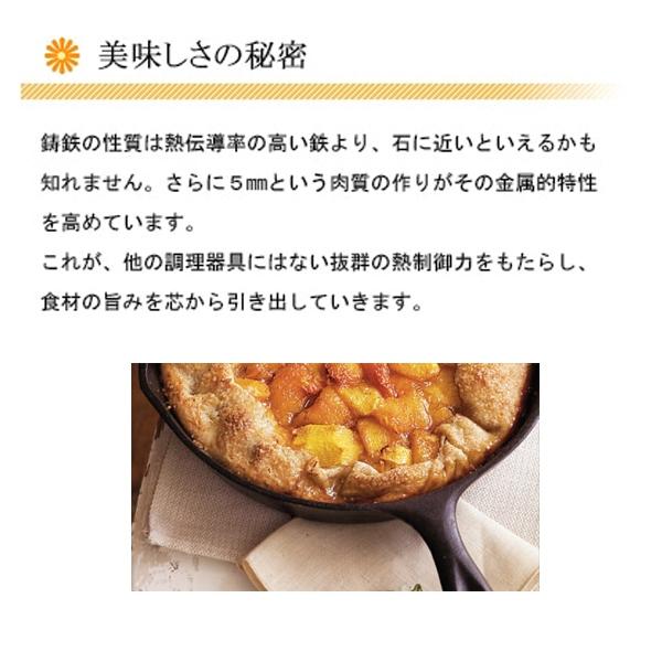LODGE（ロッジ） スキレット10 1/4インチ L8SK3 キャンプ用品 IH対応