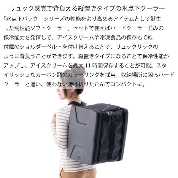 LOGOS（ロゴス） ハイパー氷点下 クールマスター・リュックXL カーボン