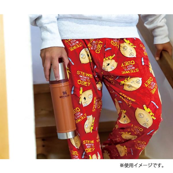 STANLEY（スタンレー） 水筒 クラシック真空ボトル 0.59L STANLEY