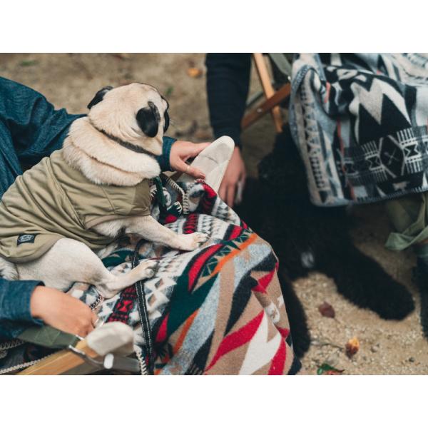 snow peak スノーピーク SPxPENDLETON Muchacho ブランケット SI-PD