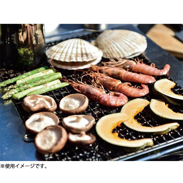 snow peak（スノーピーク） 焚火 焼アミ Pro.M ステンレス ST-033MAR